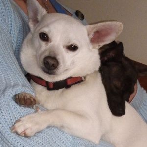 Meet your Posher, Ann